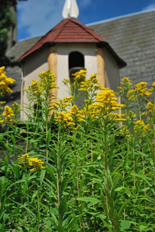 Camping Les Tournesols Sille-le-Guillaume ภายนอก รูปภาพ